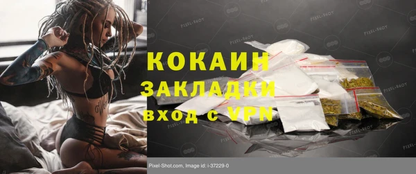 прущие грибы Баксан