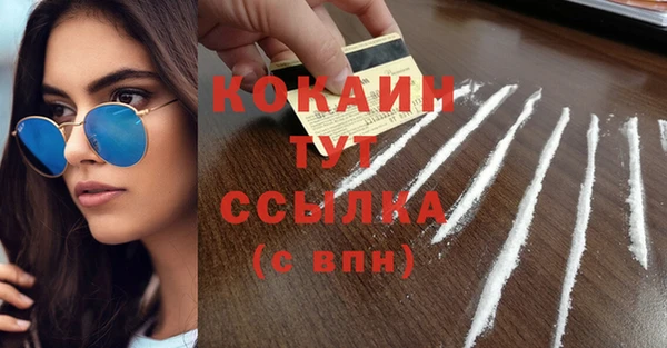 прущие грибы Баксан