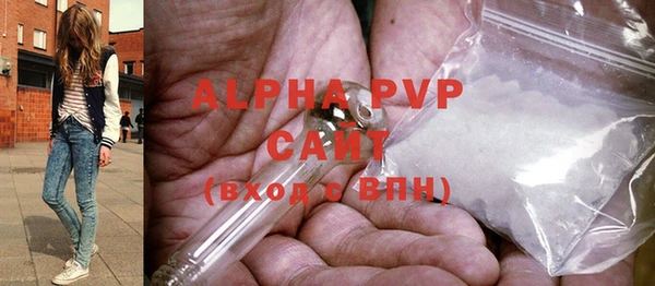 прущие грибы Баксан