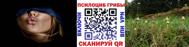 что такое наркотик  Белебей  mega зеркало  Псилоцибиновые грибы Magic Shrooms 